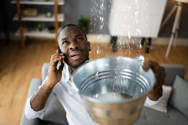 Best Commercial water damage restoration  in Carlstadt, NJ