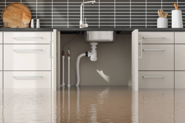 Best Mold removal after water damage  in Carlstadt, NJ