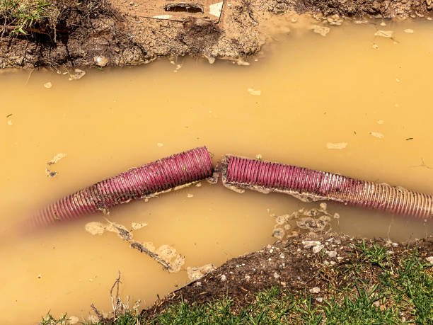 Best Basement water damage restoration  in Carlstadt, NJ