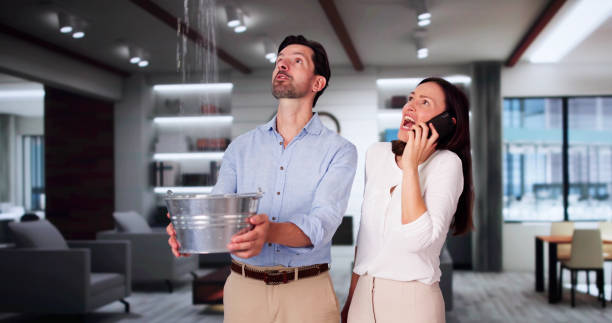 Best Ceiling water damage repair  in Carlstadt, NJ